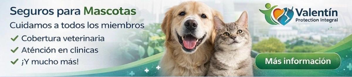 Creatividad de marca de mascotas